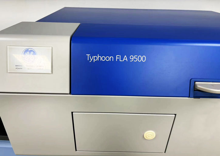 线粒体功能检测平台