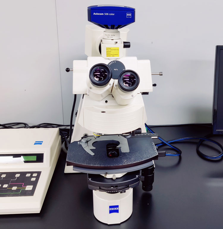 线粒体显微观察