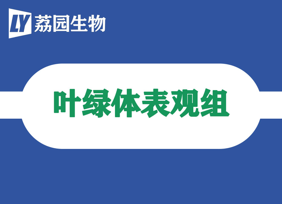 叶绿体表观组学