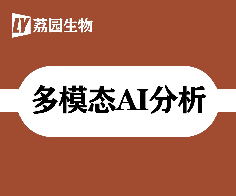 多模态AI分析研究